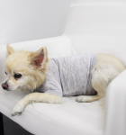 Coin 1804 Doggy Tee Dog Clothes