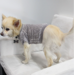 Coin 1804 Doggy Tee Dog Clothes