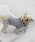 Coin 1804 Doggy Hoodie Dog Clothes