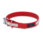 Smart Pet Supply Online Play Glow Collar