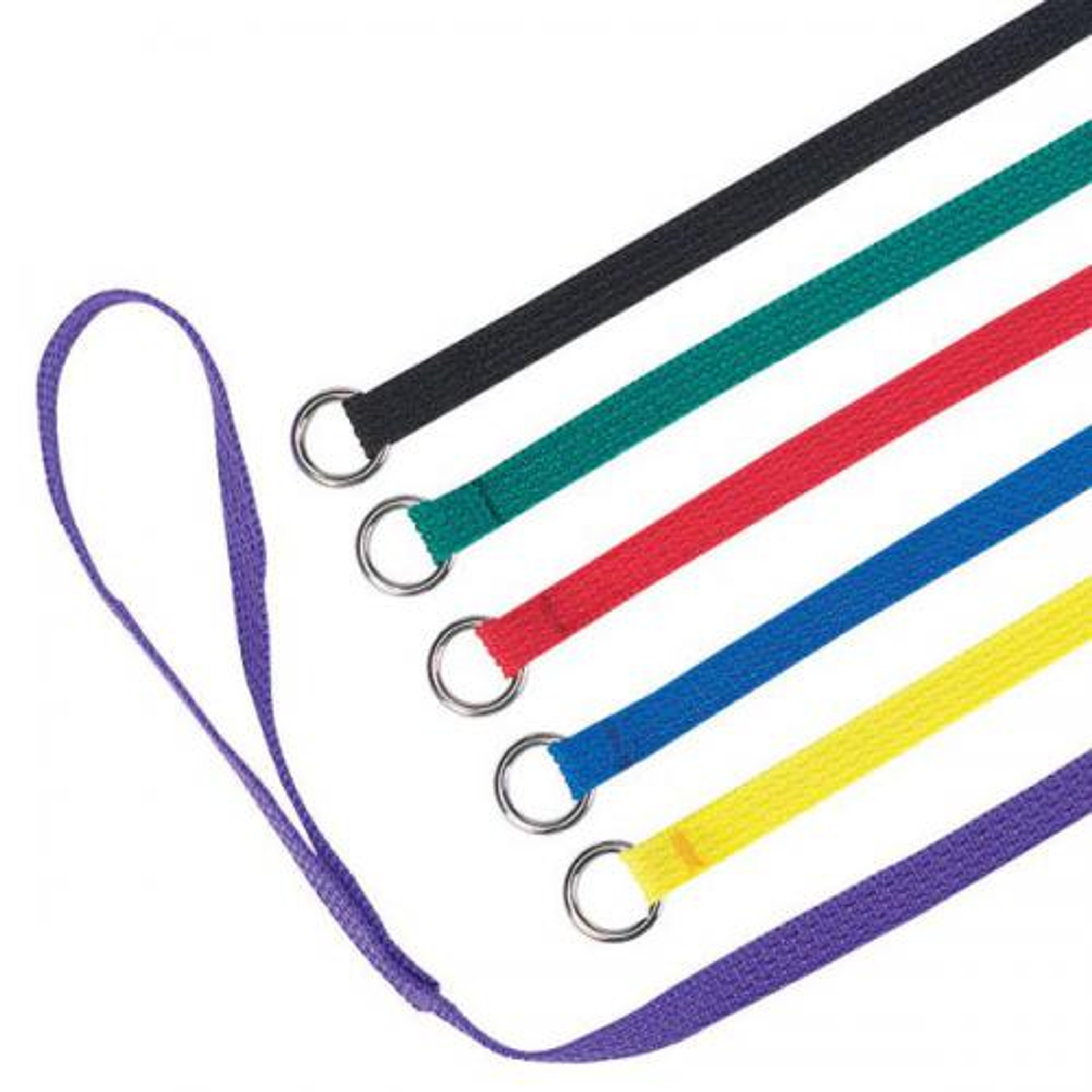 Pet Edge Guardian Gear Kennel Leads 6 Ft 6-Pack Dog Leashes