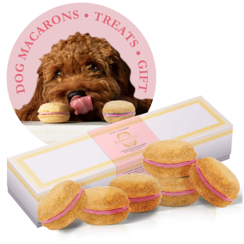 Bonne et Filou Dog Macarons - Box of 6 (Available in 12 Flavors) Dog Treats