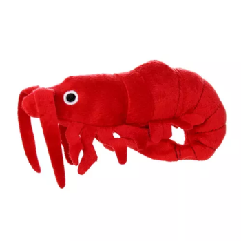 VIP Products LLC Mighty Jr Ocean Dog Toys
