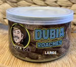 Jungle Bob Enterprises