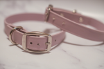 Kai's Canine Creative Biothane Buckle Dog Collar Dog Collars