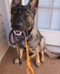 Kai's Canine Creative Rope Dog Leash Dog Leashes