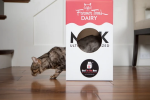 Cat in the Box