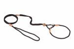 Alvalley LLC Nylon Martingale Leads (10in x 1/8in or 4mm) Dog Leashes