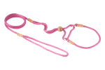 Alvalley LLC Nylon Martingale Leads (10in x 1/8in or 4mm) Dog Leashes