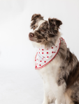 Alto Modas Buddy Dog Bandana Dog Clothes