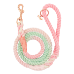 Sassy Woof LLC Rope Leash Dog Leashes