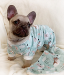 Klippo Pet Inc Ultra Soft Plush Minky Bedtime Bears Pajamas Dog Clothes