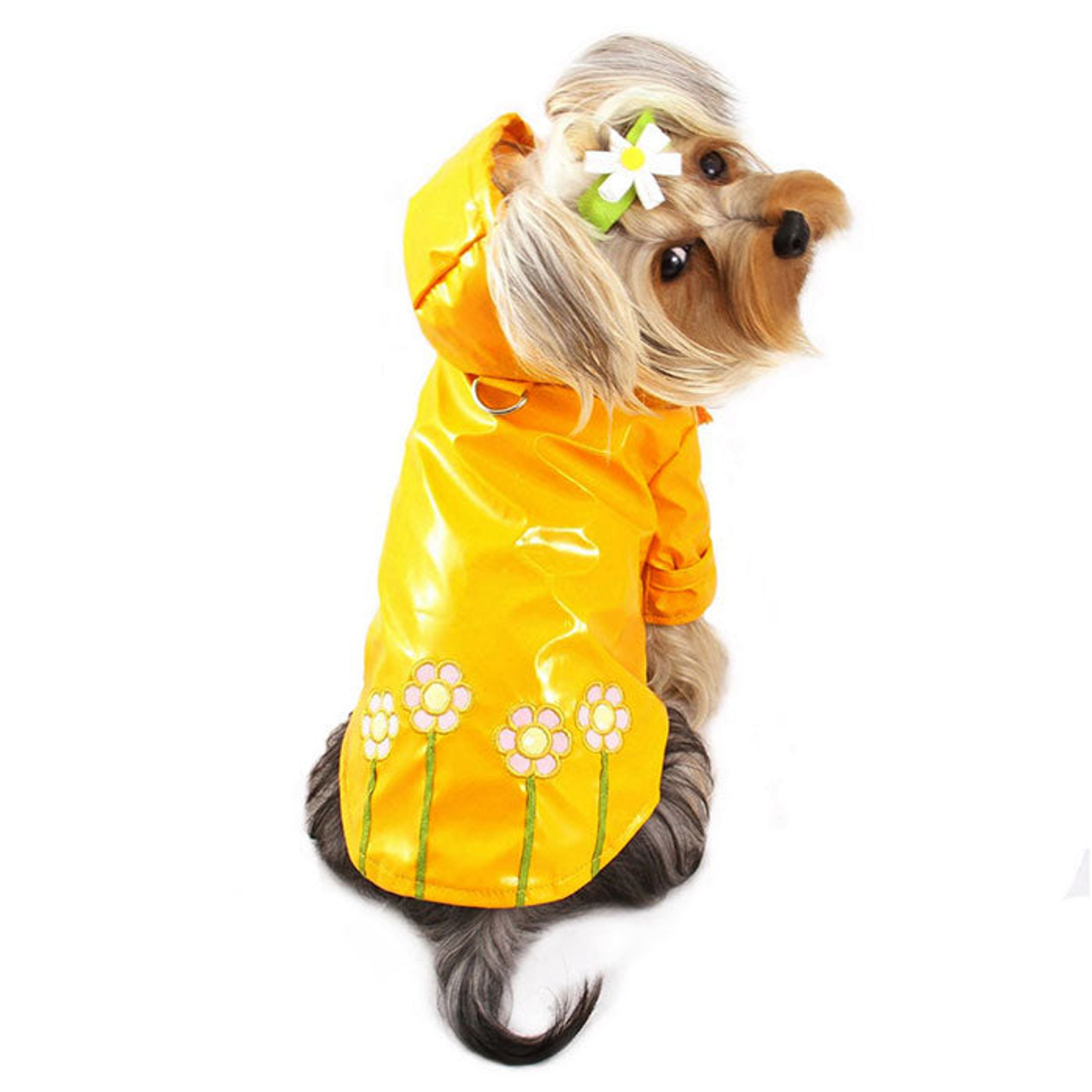 Klippo Pet Inc Polka Dots & Daisies Raincoat with Cotton Lining Dog Clothes