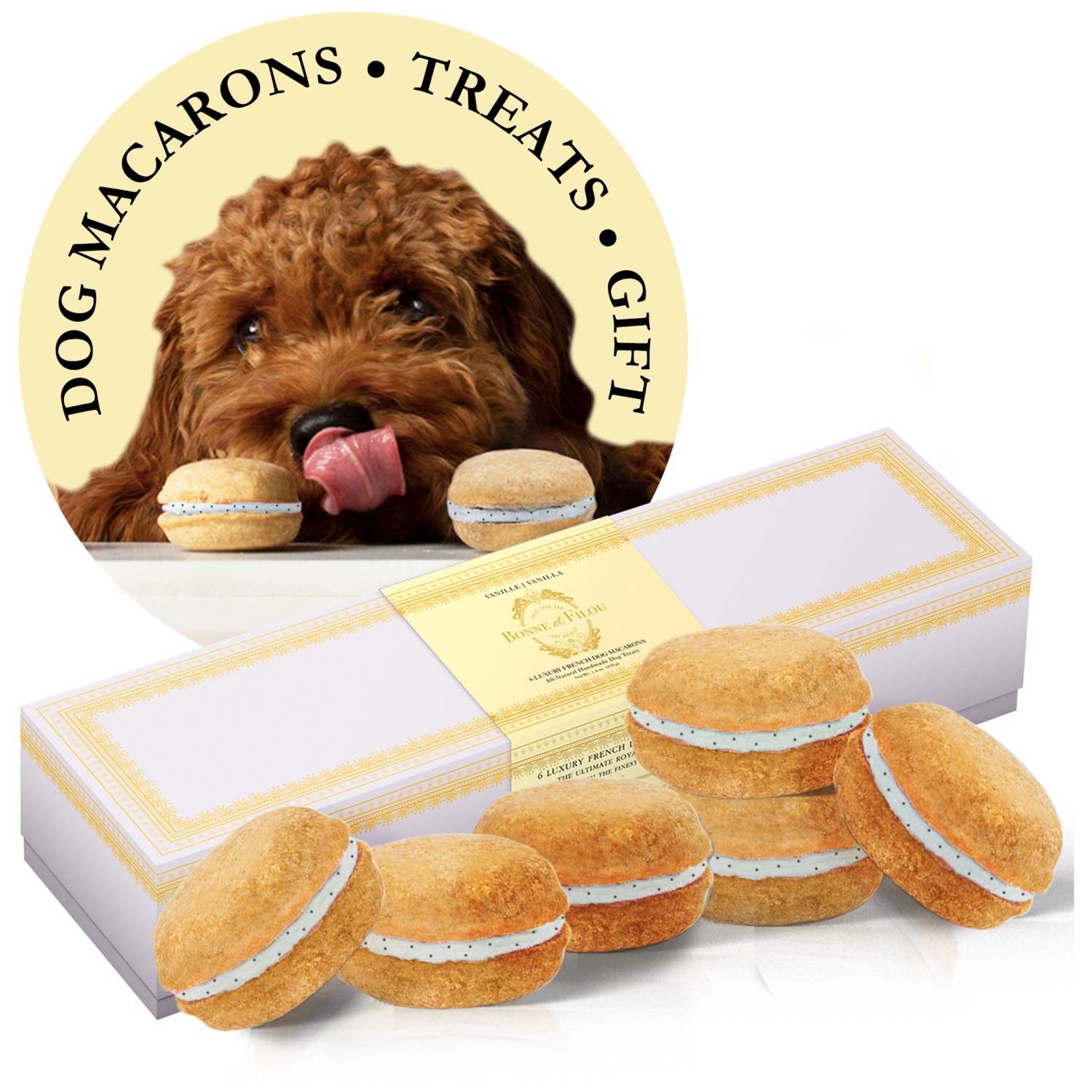 Bonne et Filou Dog Macarons - Box of 6 (Available in 12 Flavors) Dog Treats