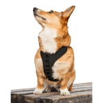 K9 Sport Sack K9 Sport Harness Dog Harnesses