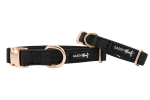 Sassy Woof LLC Collar Dog Collars
