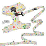 Sassy Woof LLC Bundle Dog Harnesses
