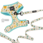 Sassy Woof LLC Bundle Dog Harnesses
