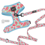 Sassy Woof LLC Bundle Dog Harnesses