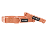 Sassy Woof LLC Collar Dog Collars