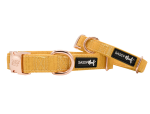 Sassy Woof LLC Collar Dog Collars
