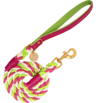 PoisePup Dog Leash Dog Leashes