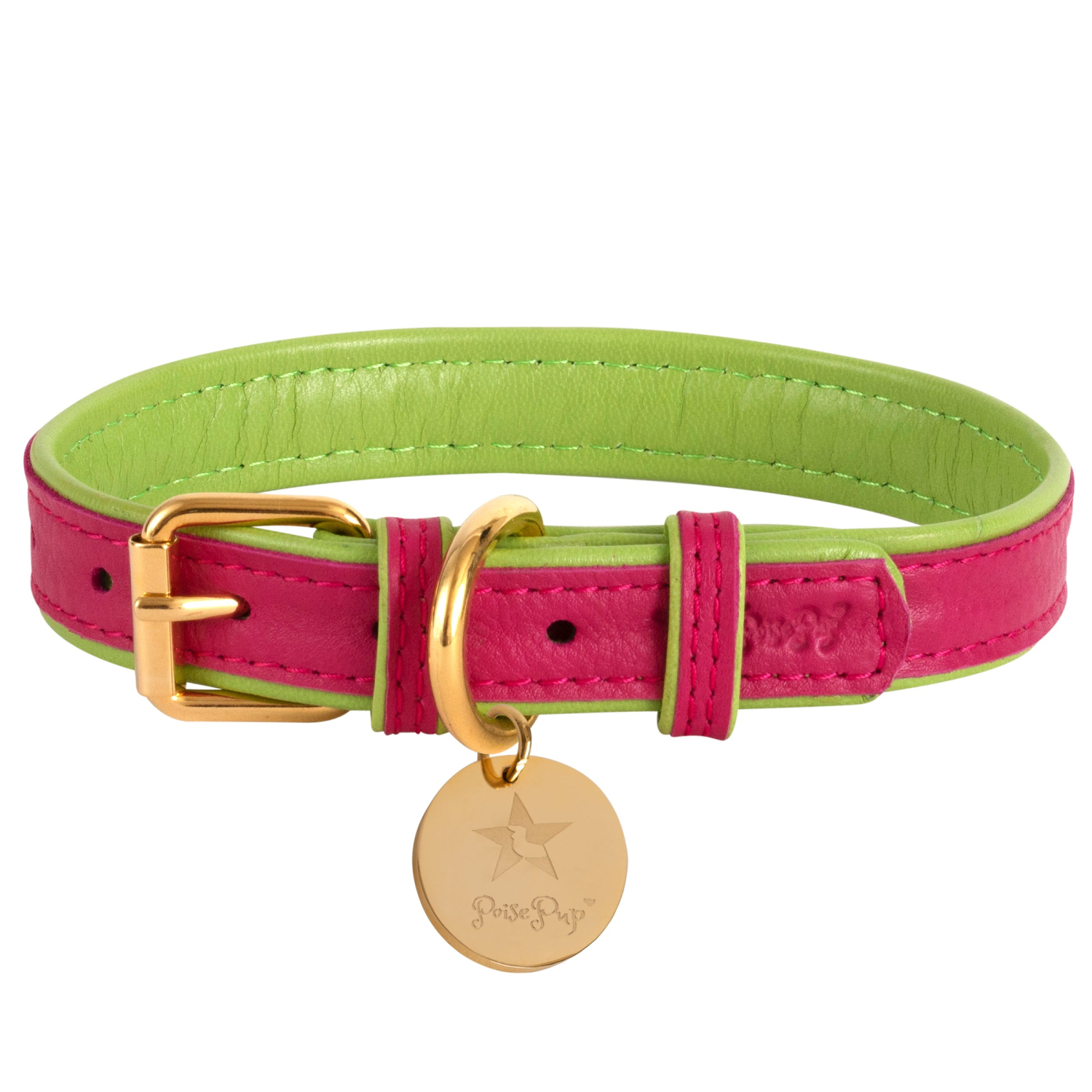 PoisePup Dog Collar Dog Collars