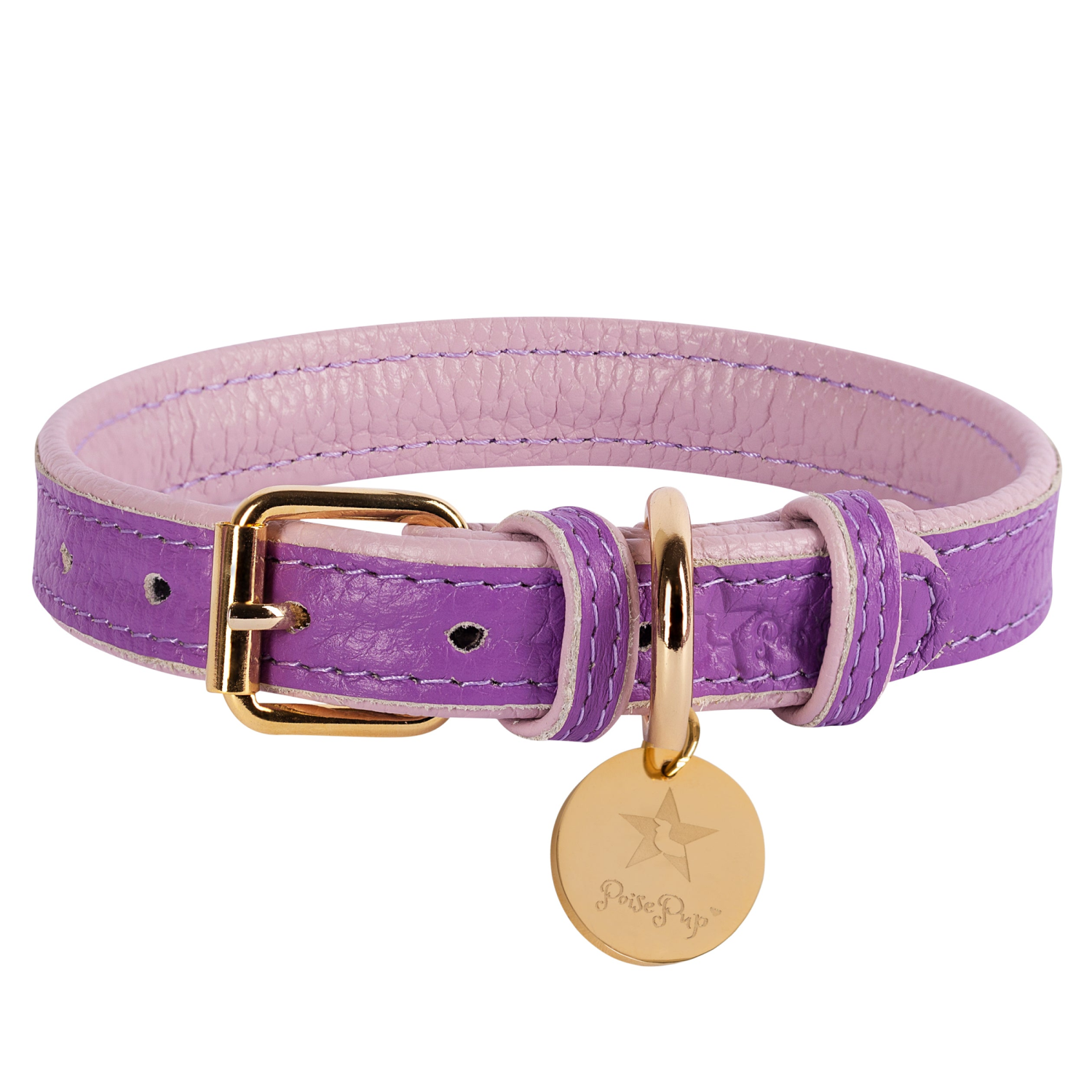 PoisePup Dog Collar Dog Collars