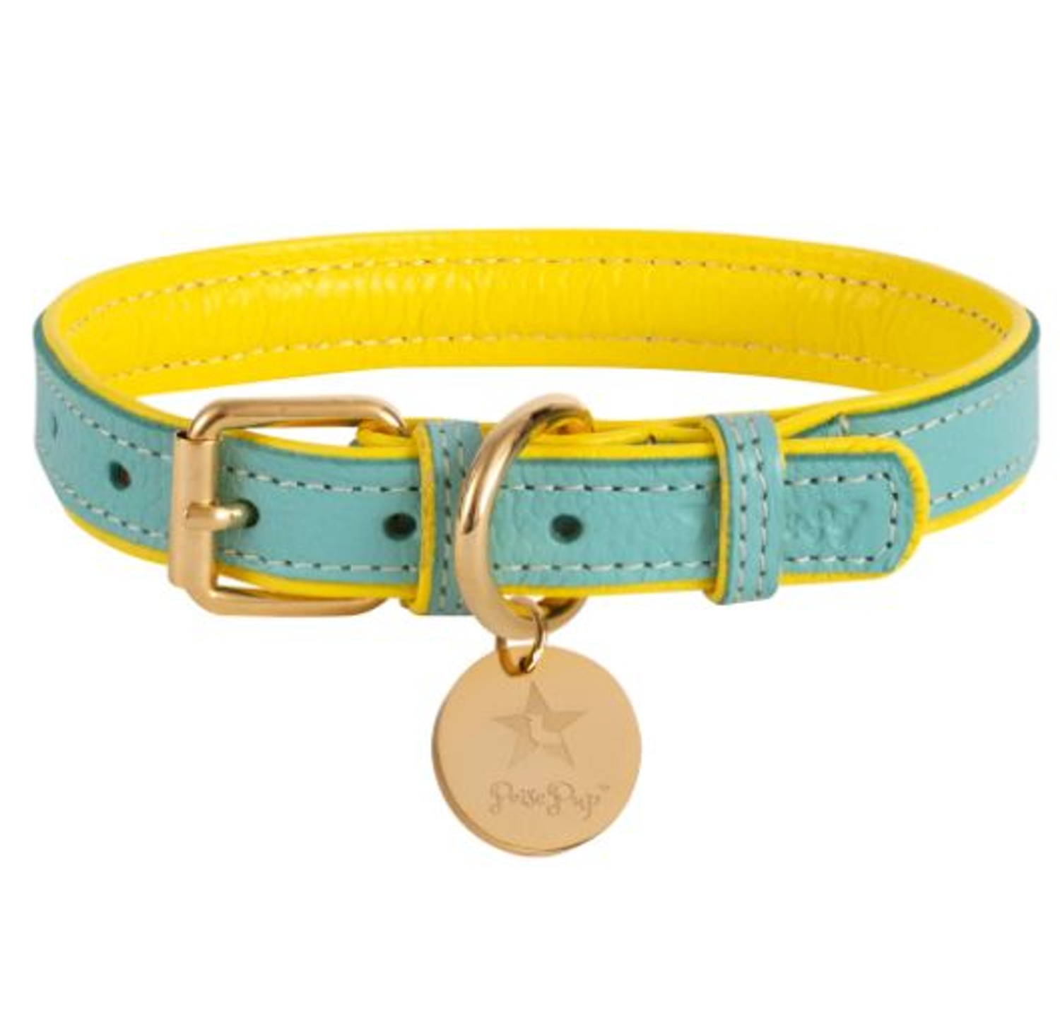 PoisePup Dog Collar Dog Collars