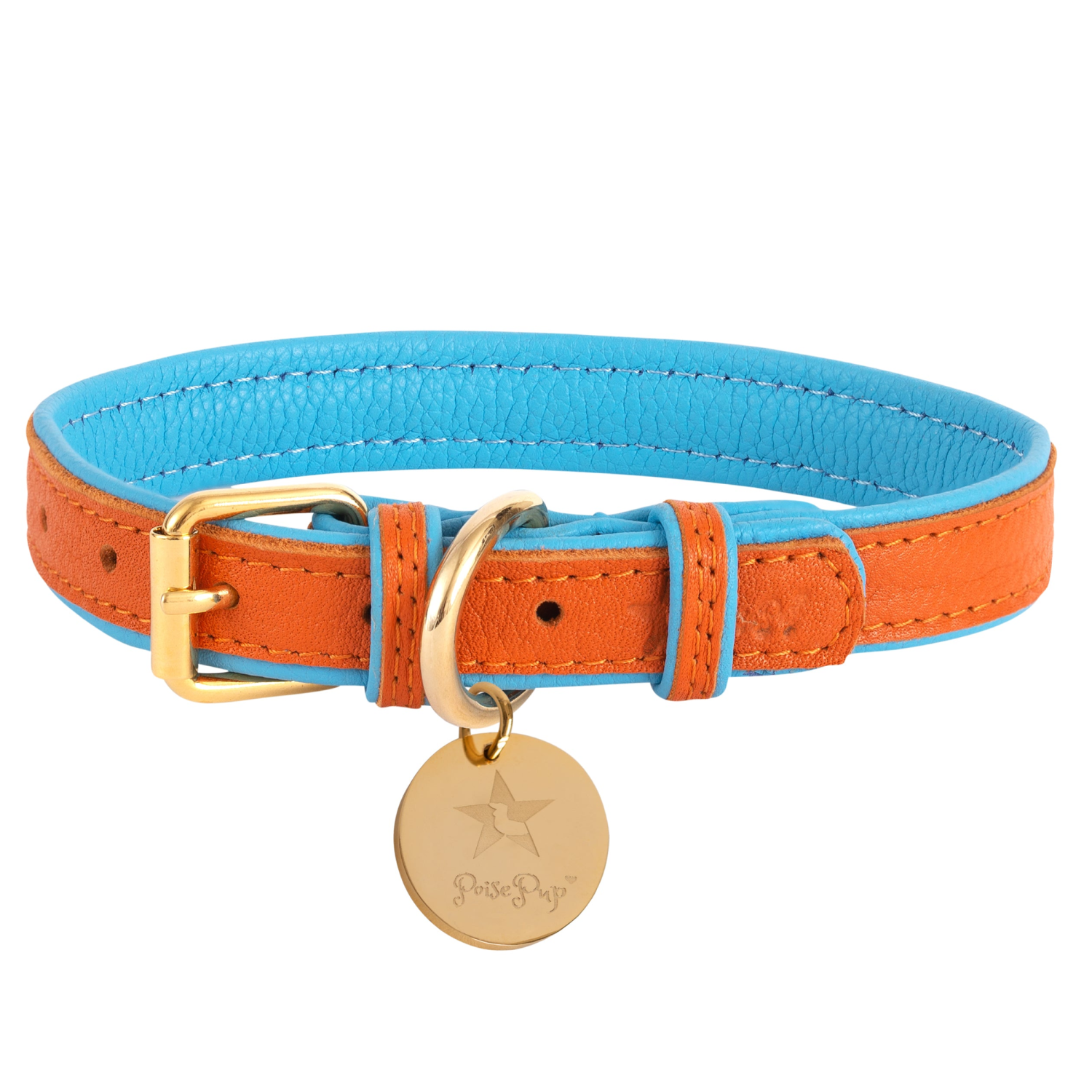 PoisePup Dog Collar Dog Collars