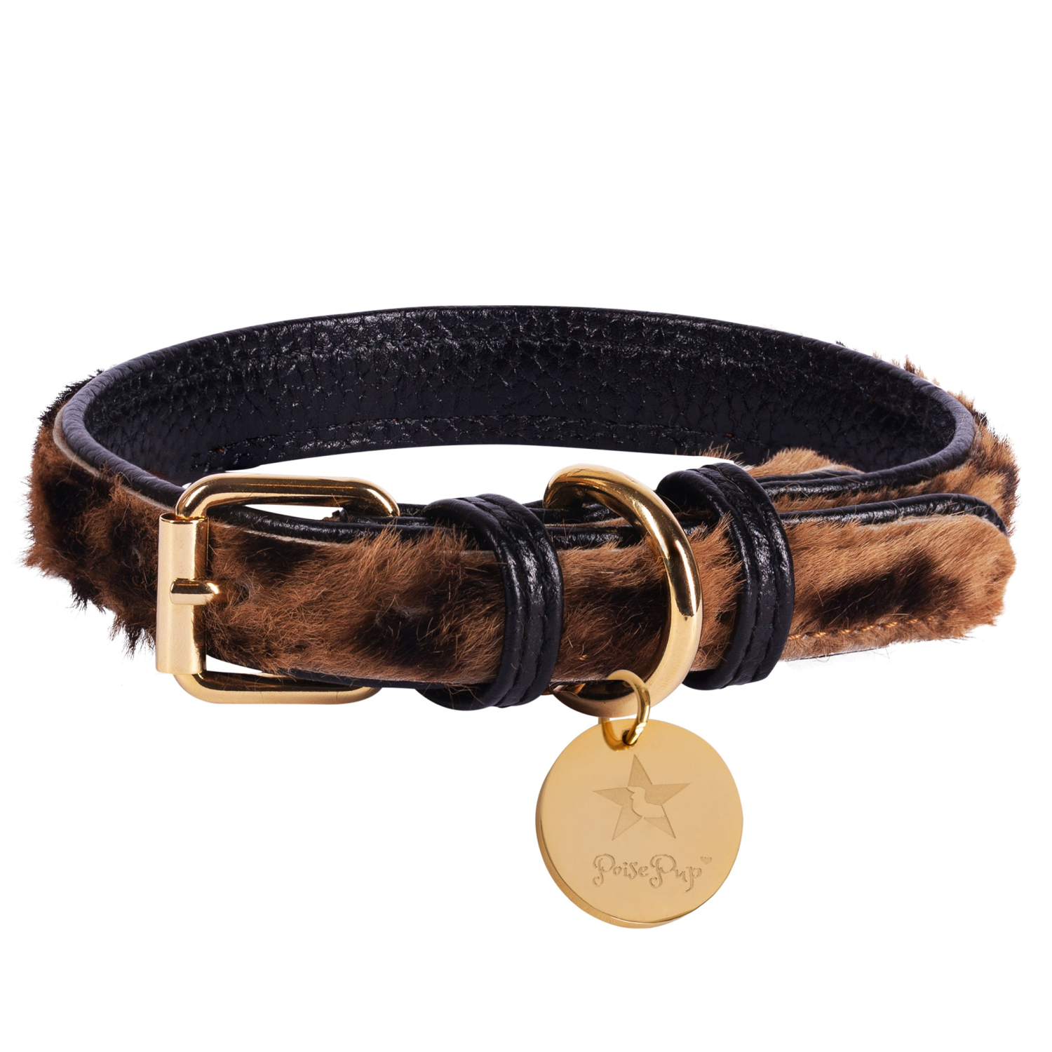 PoisePup Dog Collar Dog Collars