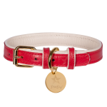 PoisePup Dog Collar Dog Collars