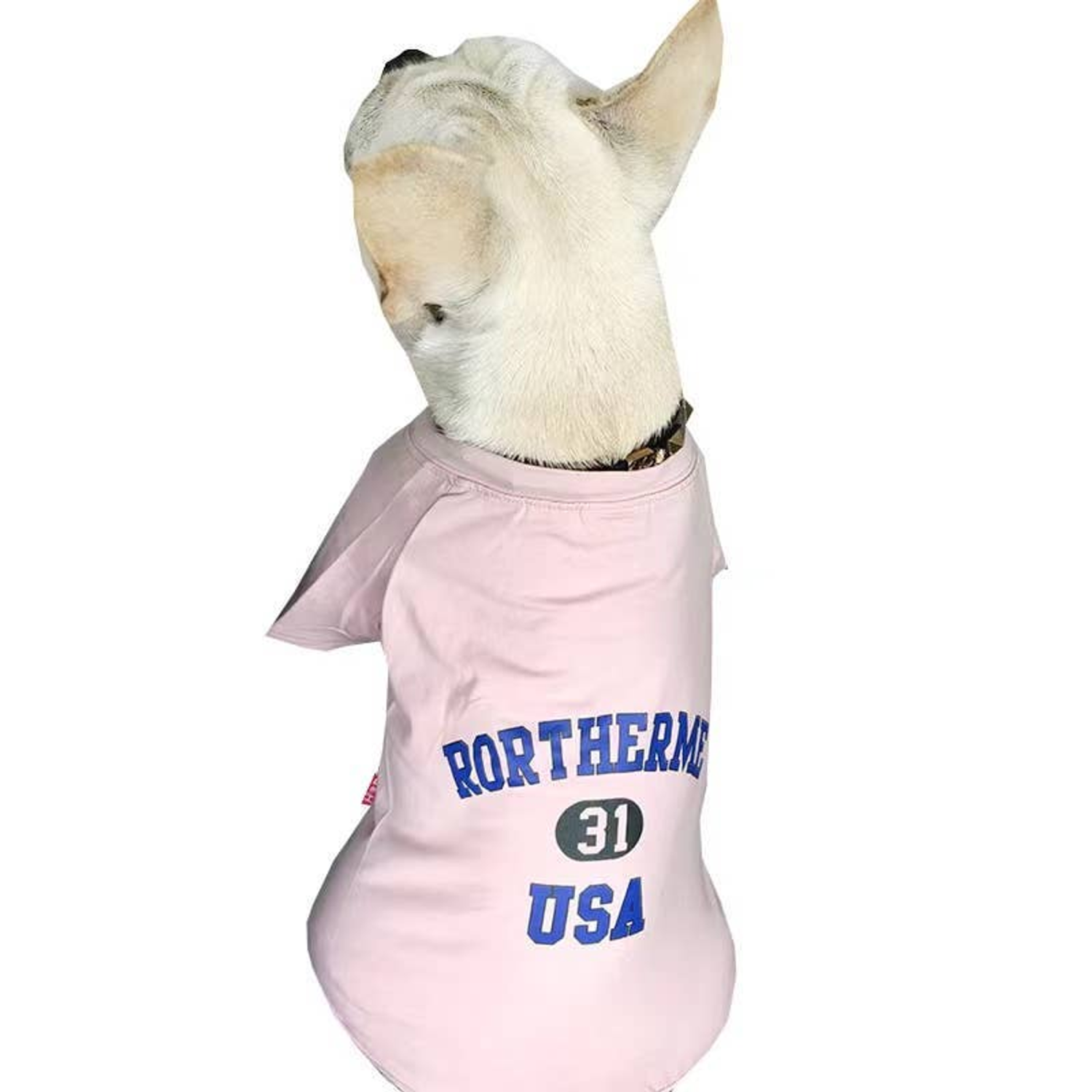 Pawsome Pets CA USA - Matching Pet and Owner Clothing Set Apparel