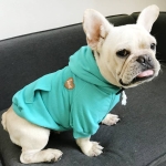 Pawsome Pets CA Matching Pet and Owner Clothing Set | Hoodie Apparel