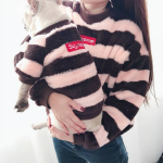 Pawsome Pets CA Super Dog - Matching Pet and Owner Clothing Set Apparel