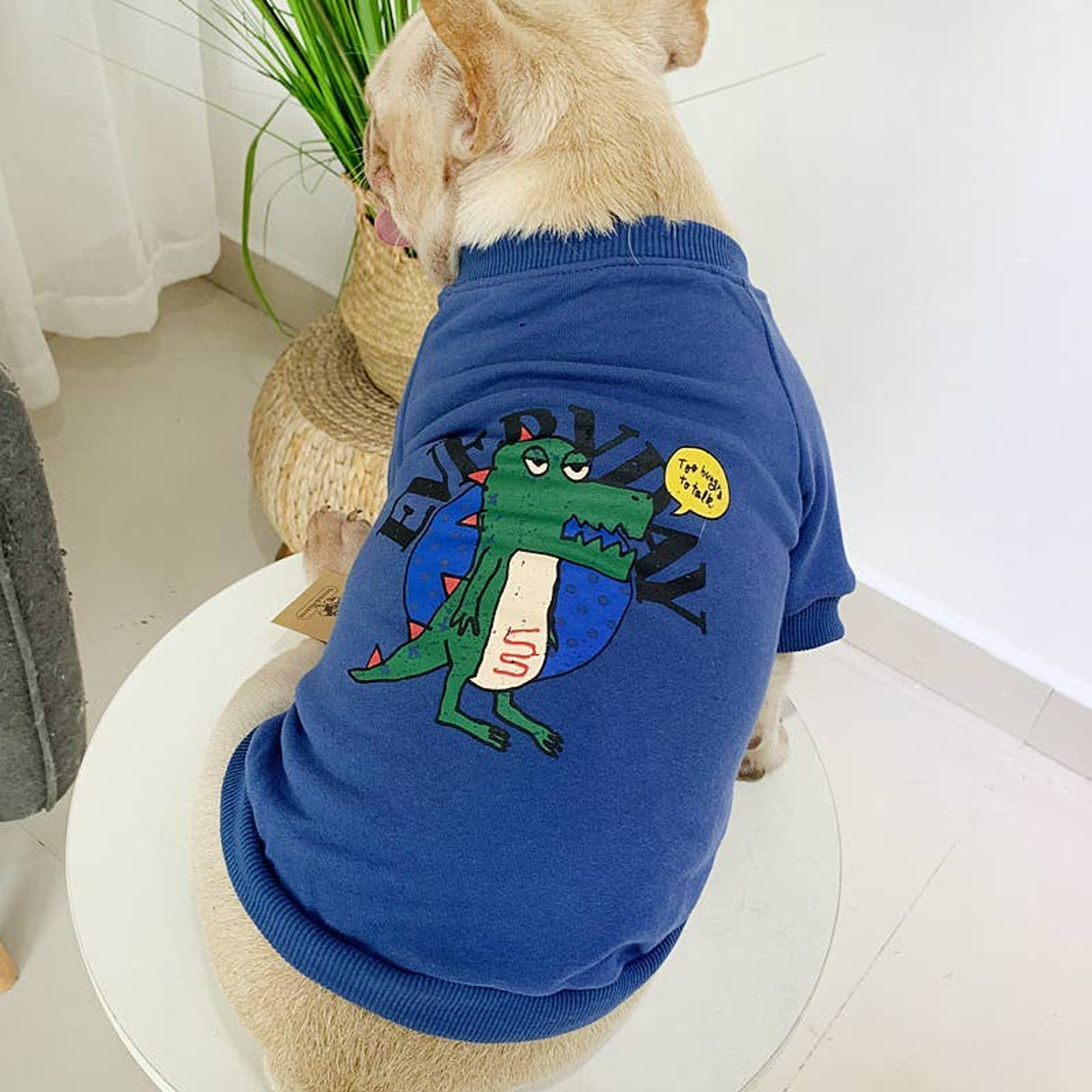 Pawsome Pets CA Everyday Dinosaur - Matching Pet and Owner Clothing Set Apparel