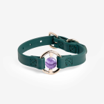 Merci Collective All Eyes On Me Collar Dog Collars