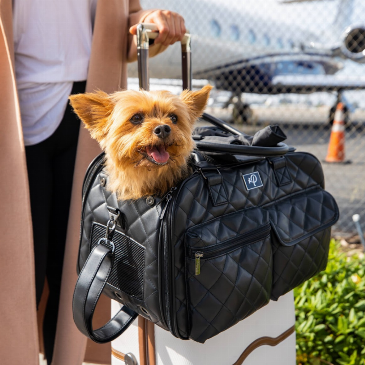Petique Inc The Lux Pet Carrier Pet Carriers