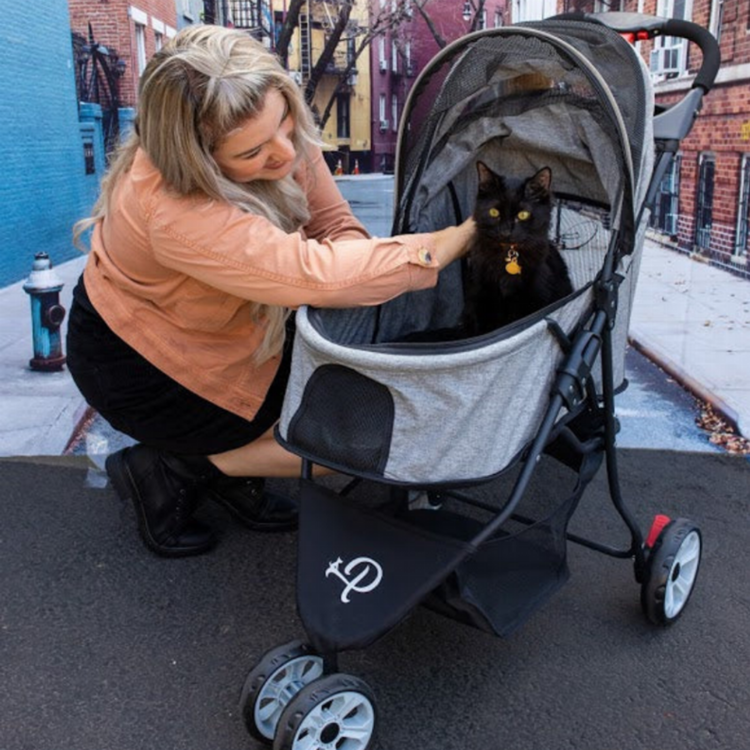 Petique Inc Glacier Pet Stroller Pet Strollers