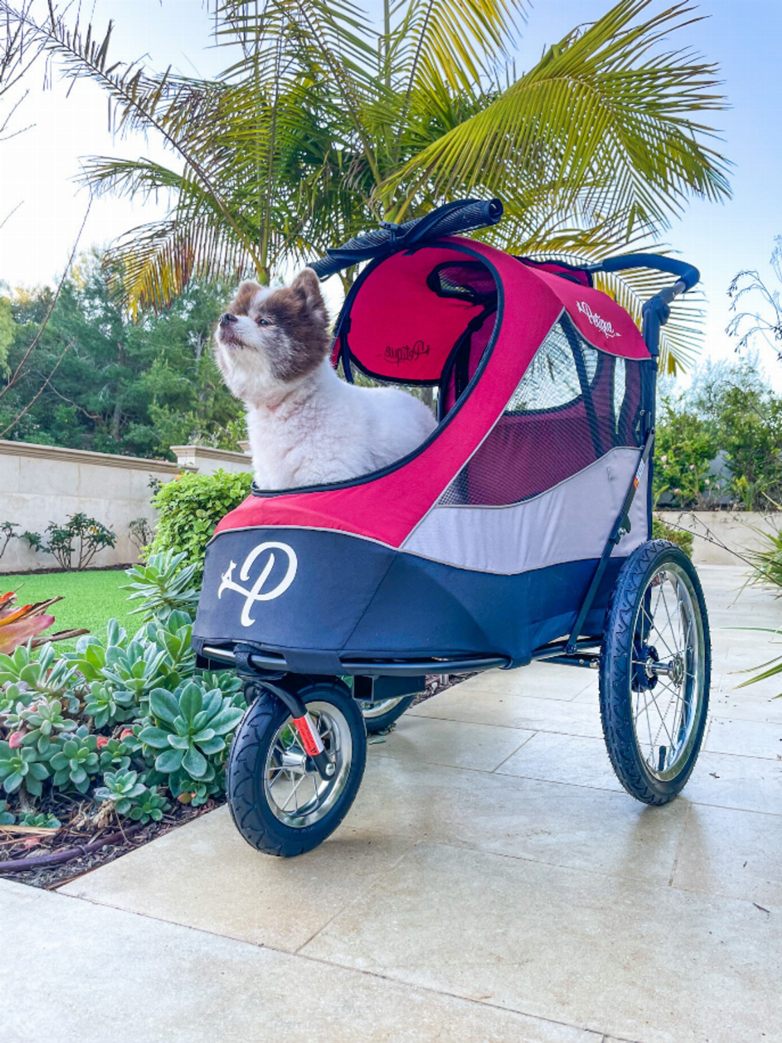 Petique Inc Trailblazer Pet Jogger Pet Strollers