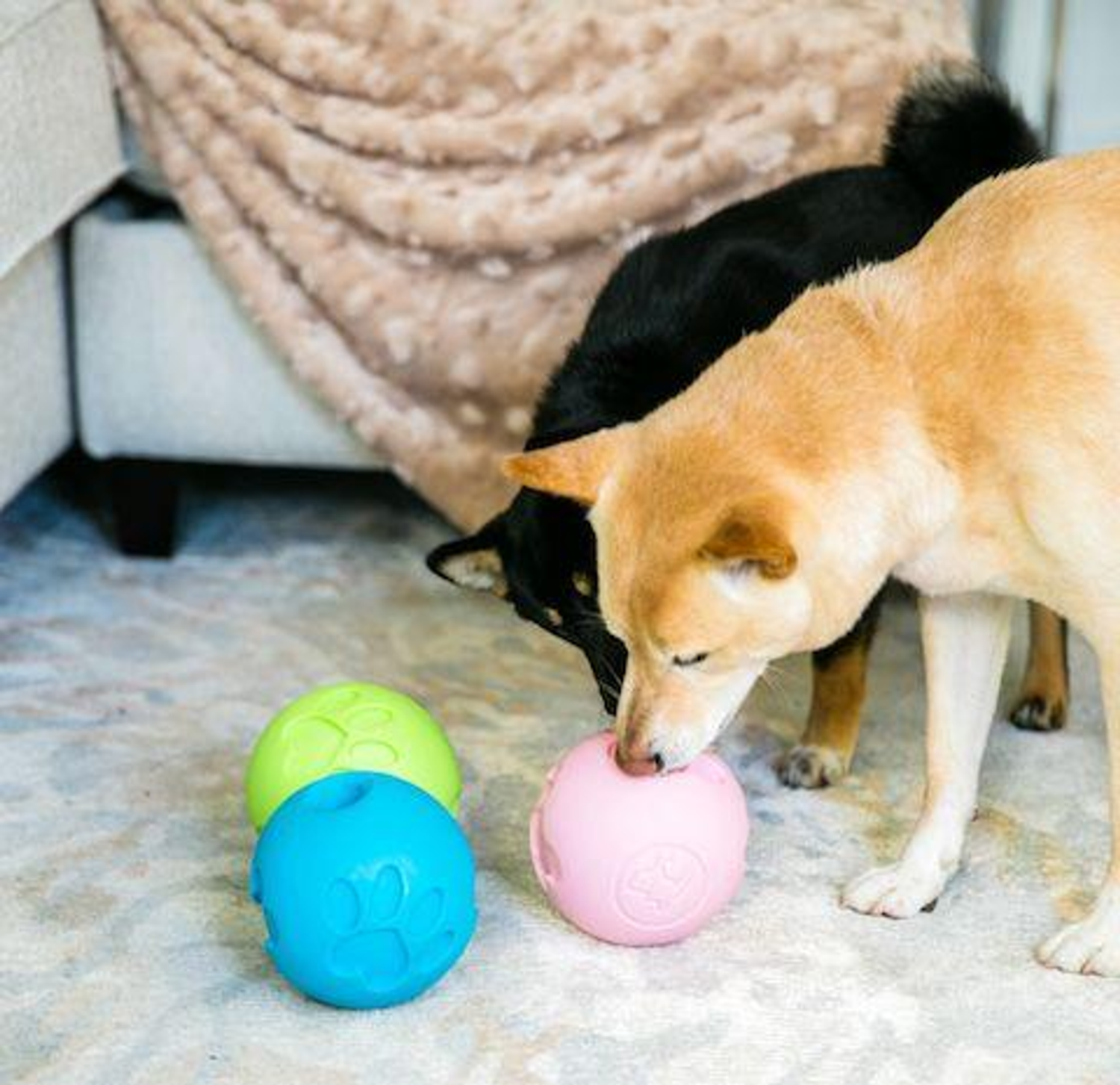 Petique Inc Paw Me! Treat Ball Dispenser Treat Jars