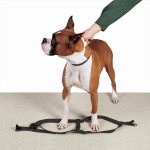 Pet Edge CC Nylon 2 Step Harness 15-25In Blk Harnesses
