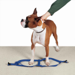 Pet Edge CC Nylon 2 Step Harness 25-40In Blu Harnesses