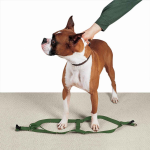 Pet Edge CC Nylon 2 Step Harness 9-15In Grn Harnesses