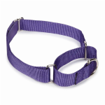 Pet Edge GG Nylon Martingale Collar 10-16In Pur Collars