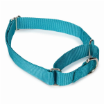 Pet Edge GG Nylon Martingale Collar 18-26In LtB Collars