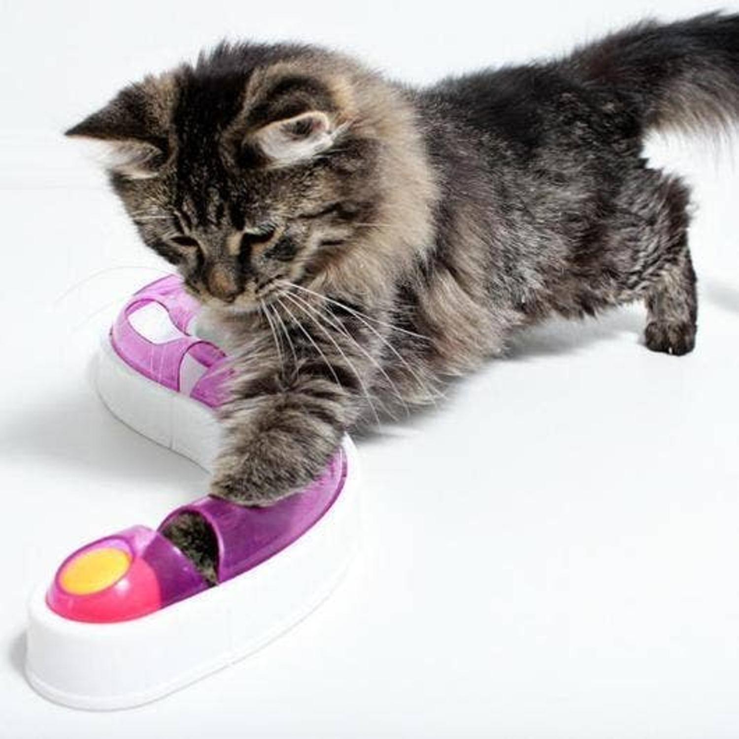 Pawsome Pets CA Ball Track Chase Game Pet Toys