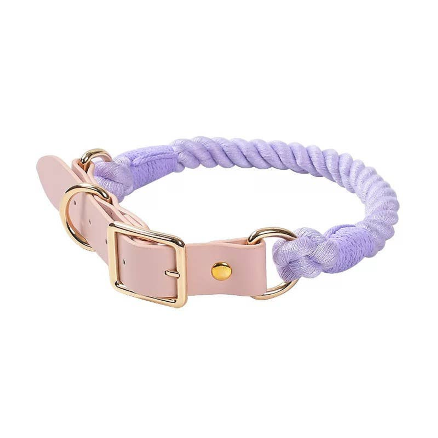 Pawsome Pets CA Luxe Royal Leather Rope Collar Dog Collars