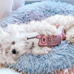 Pawsome Pets CA Marshmallow Pets Bed Pet Beds