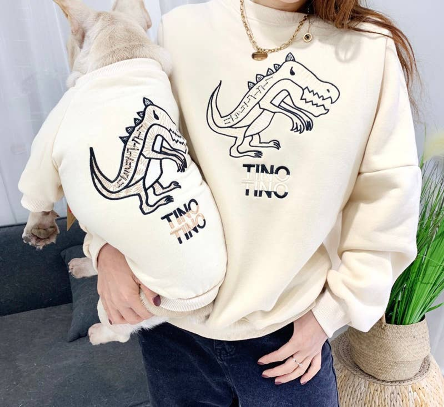 Pawsome Pets CA Dinosaur Love - Matching Pet and Owner Clothing Set Apparel